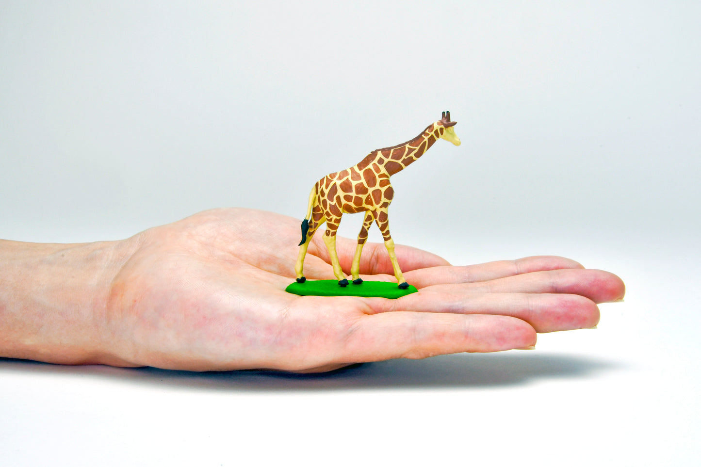 TLV 1/64 海洋堂×トミカリミテッド ヴィンテージ ジオコレ64 #カースナップ28a サファリ1 (トヨタ ランドクルーザー FJ56V型付属)