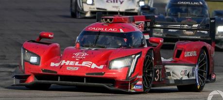 【発売中止】 Spark US339 1/43 Cadillac DPi-V.R No.31 Whelen Engineering Racing 3rd 12H Sebring 2022P. Derani - T. Nunez - M. Conway