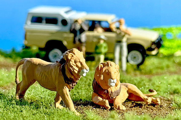 2026年7月発売予定】 TLV 1/64 海洋堂×トミカリミテッド ヴィンテージ